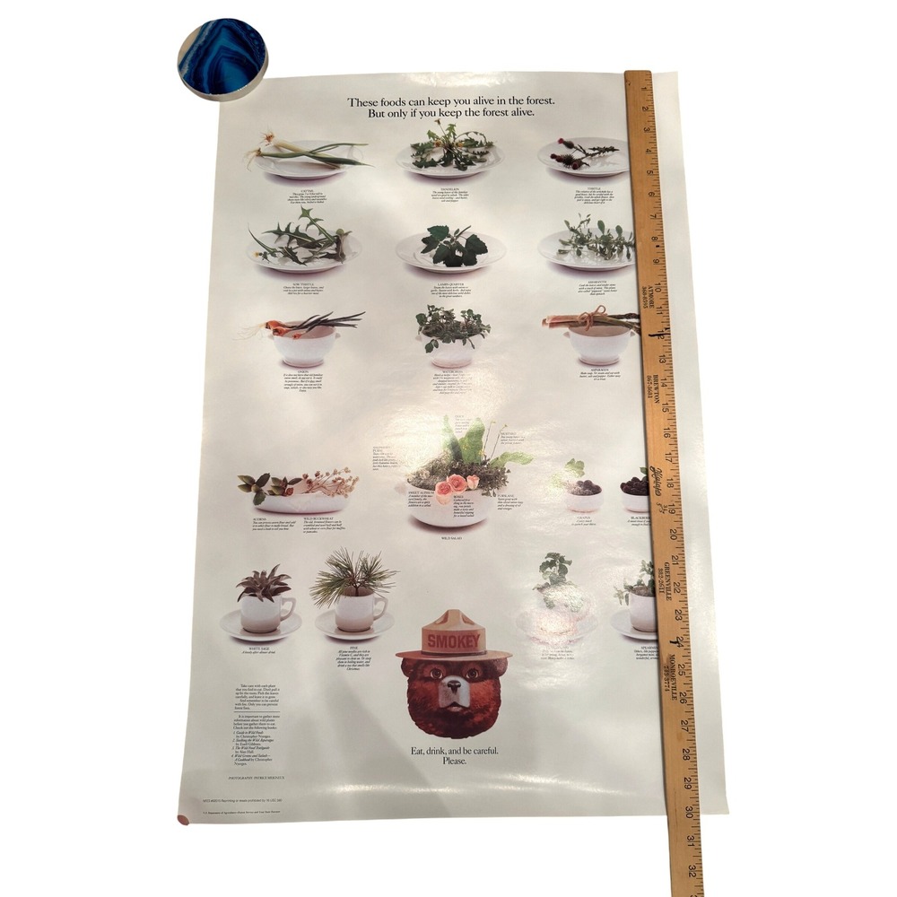 VTG 1980s Smokey Bear US Forest Service Educational Poster NFES #92015 PLANTS